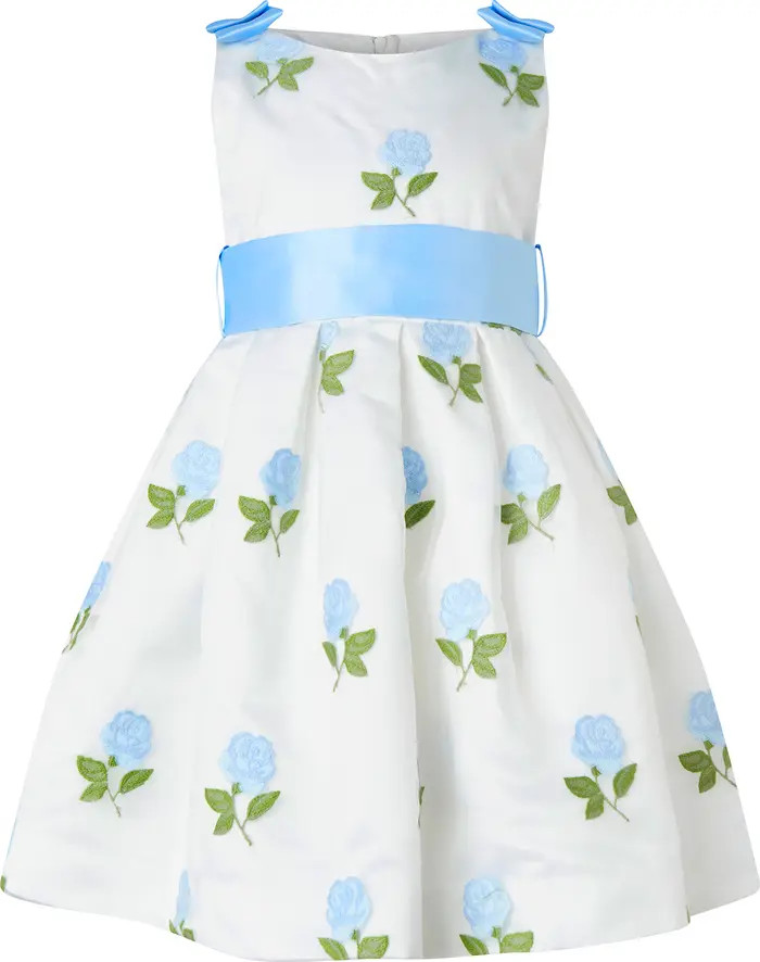 Rose Embroidered Organza Dress | Nordstrom