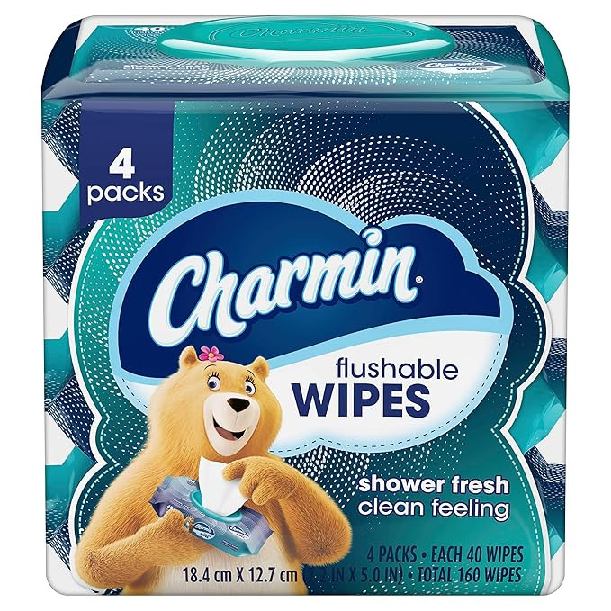 Charmin Flushable Wipes, 160 Total Wipes (4 Packs of 40) | Amazon (US)