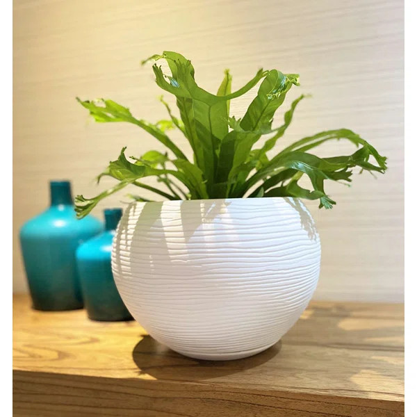 Florence Pot Planter | Wayfair North America
