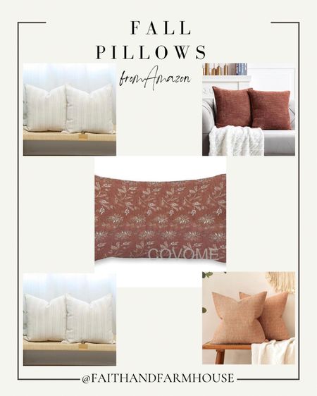 Fall pillows from Amazon. Budget prices and beautiful designs! Neutral, rust, and orange fall pillow covers. Under $20! 

#LTKunder50 #LTKSeasonal #LTKhome