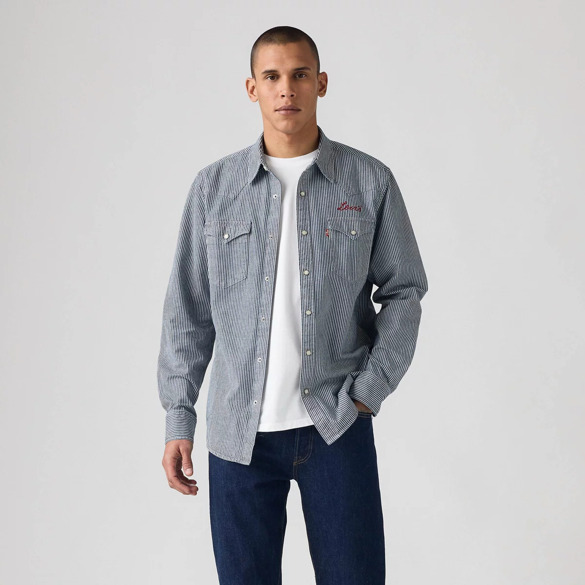 Levi's® Men's Western Standard Fit Long Sleeve Button-Down Shirt - Vanisher | Target