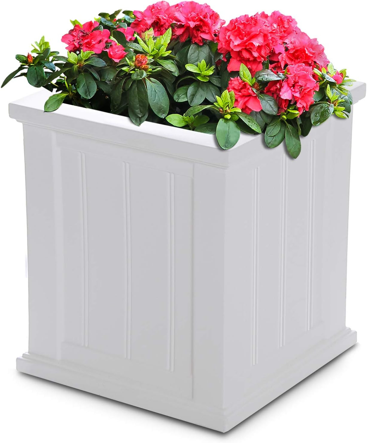Mayne 4837-W Cape Cod Polyethylene Planter, 16" x 16", White | Amazon (US)