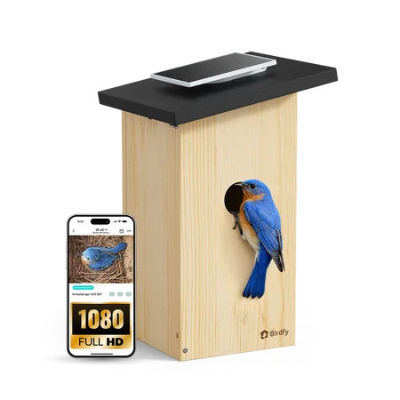 Birdfy Smart Bird Houses for Outside Solar Powered, 1080P HD Live View Bird House with Camera, Perfect Viewing Bird Nesting and Hatching, Bird Feeder with Camera for Most Birds | Walmart (US)