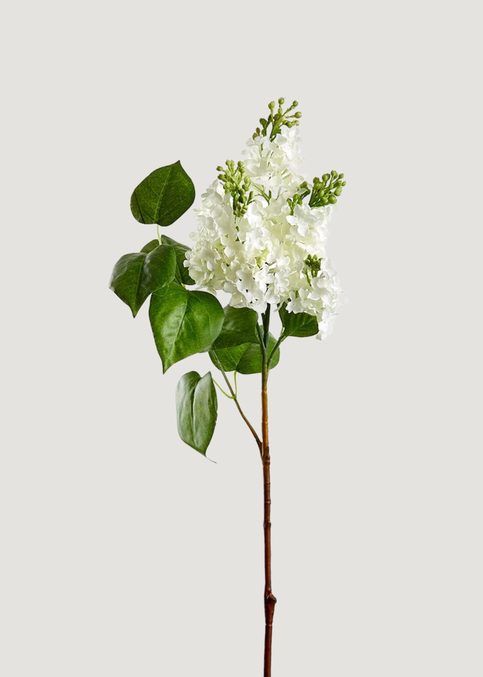 Faux Lilac Branch in White | Artificial Blooming Flowers at Afloral | Afloral