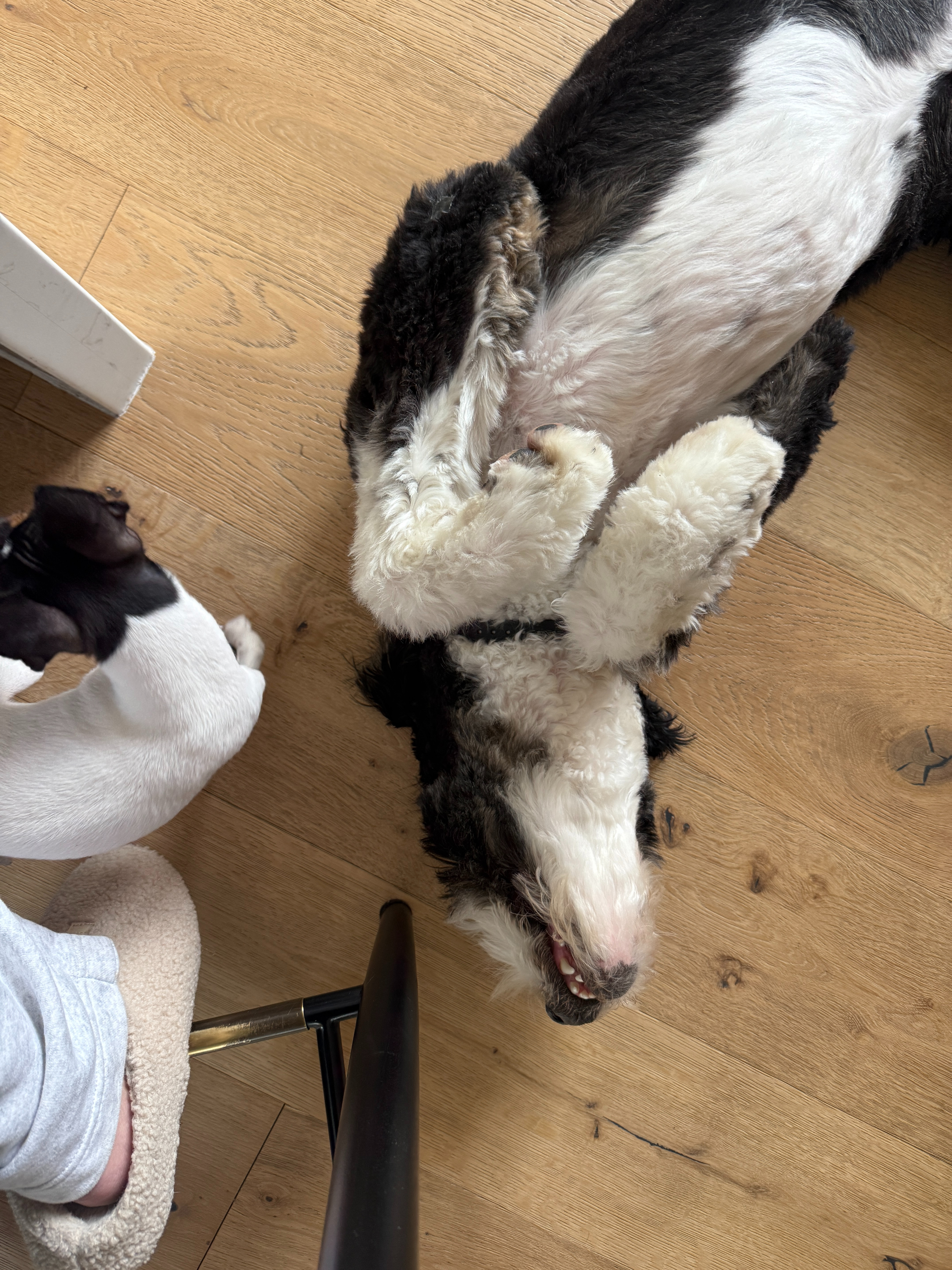 I like to work from my laptop at our dining table. The Jagger stools have gotten so much use! They are made with a performance fabric and have held up really well over the years. Easy to clean, soft, and durable. 

 #LTKdayinmylife #LTKmomlife #LTKHome