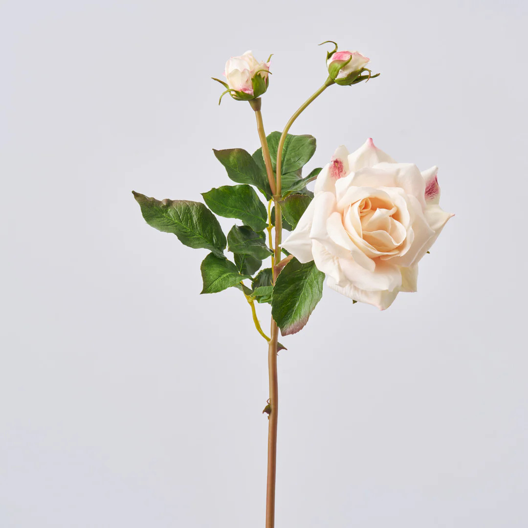 Real Touch Light Pink Sweet Juliette English Rose Bloom Single Long Stem Faux Floral Spray  - 22" | Darby Creek Trading