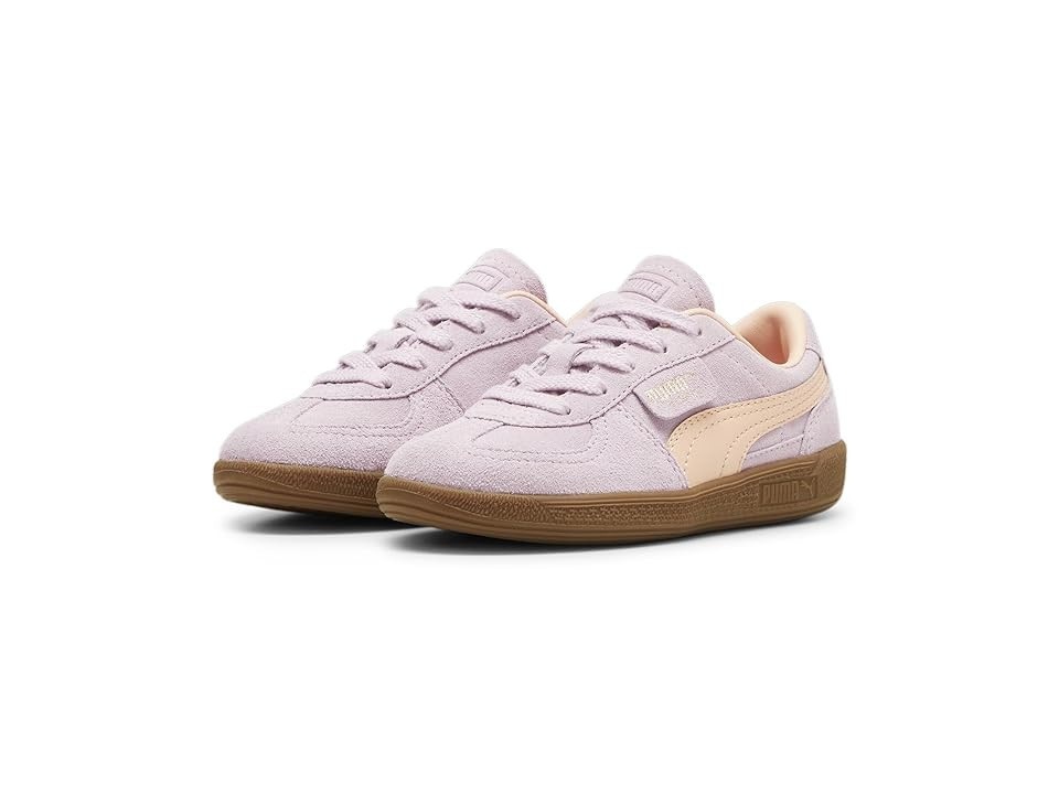 PUMA Kids Puma Kids Palermo Sneaker (Little Kid) (Grape Mist-Peach Fizz) Kid's Shoes | Zappos