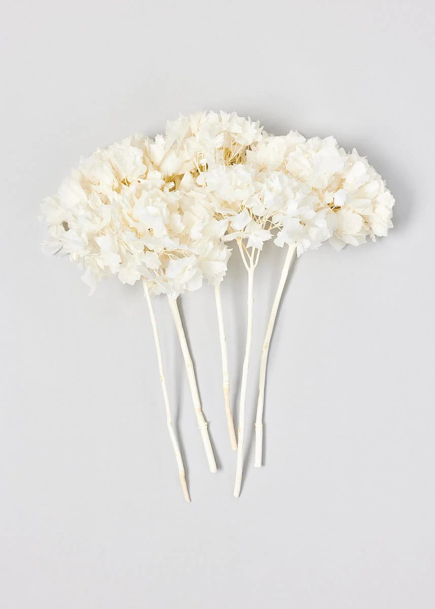 Bleached White Dried Hydrangea | Preserved Flowers at Afloral.com | Afloral