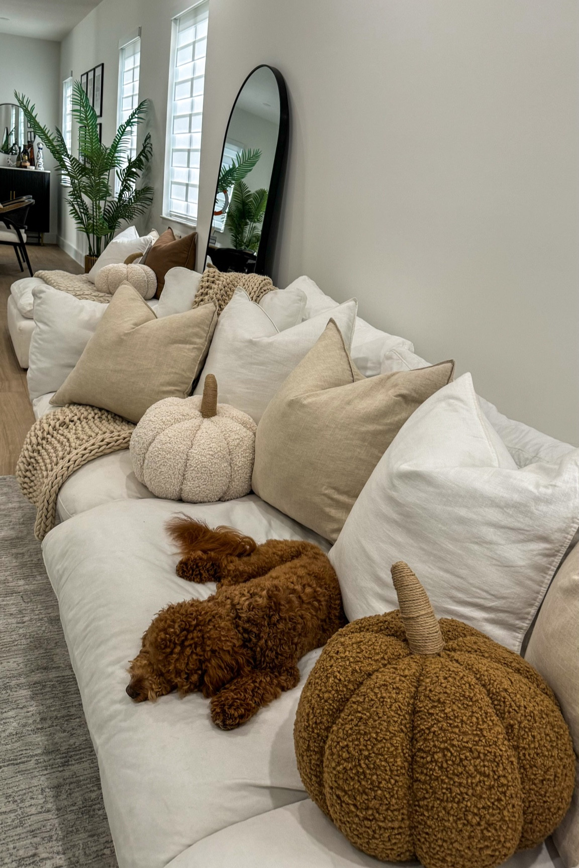 Fall couch decor 🍂 still waiting for a few more pillows to come in… linked the ones I ordered below 🫶🏼

#LTKSeasonal #LTKHome #LTKFindsUnder100