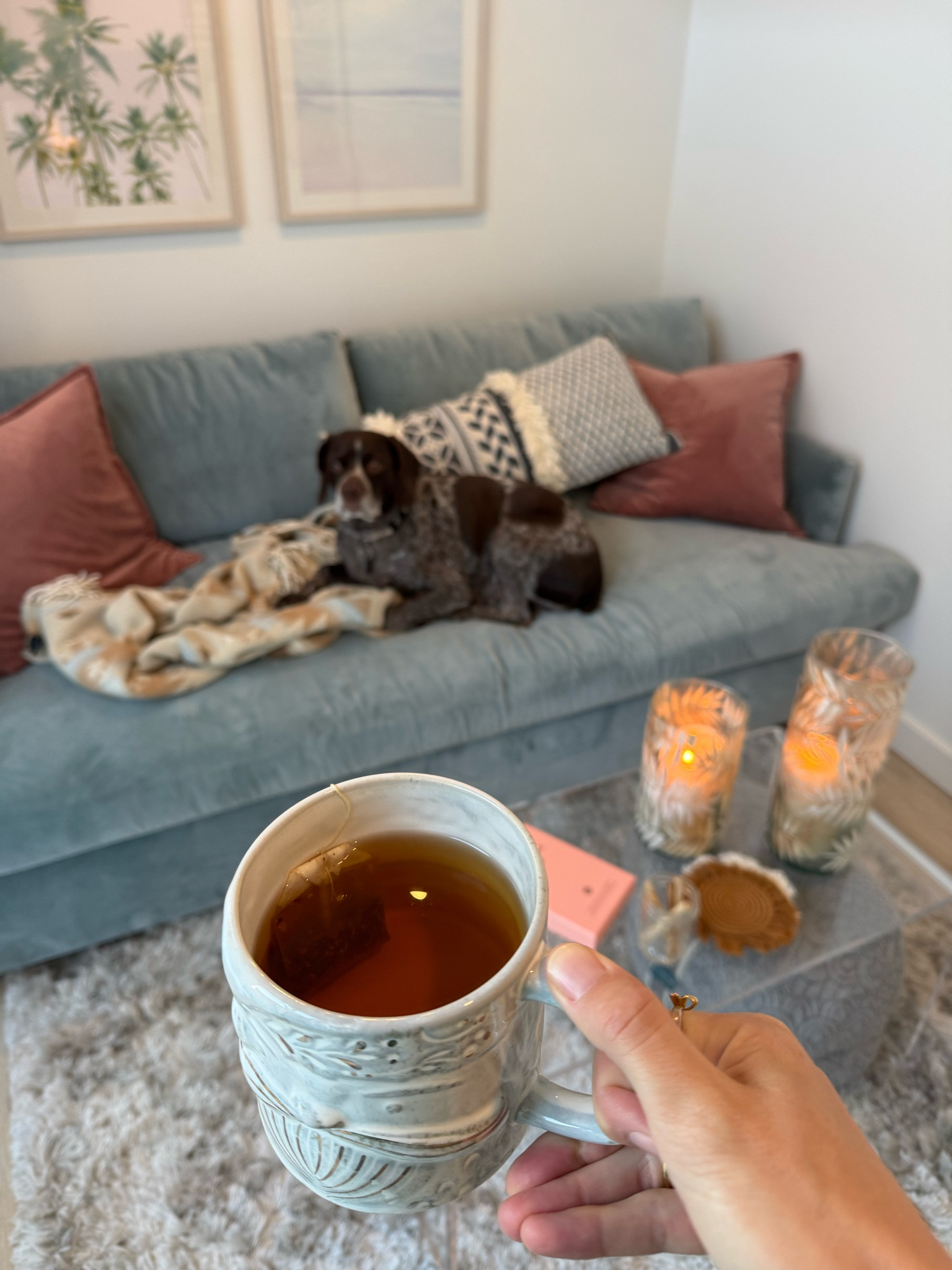 Work from home set up 

#LTKHome