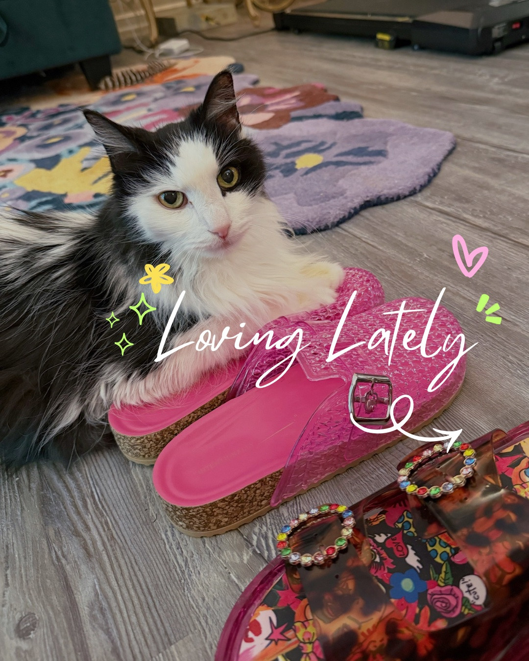 Some things I’m loving lately…

Jelly shoes, chunky beaded necklaces, bright colors, summer trends, summer accessories

#LTKootd #LTKSeasonal