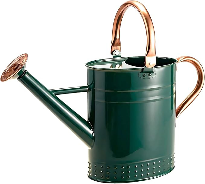 Bamworld Watering Can Indoor Plants 1 Gallon Stainless Steel Watering Can Long Spout Water Can fo... | Amazon (CA)
