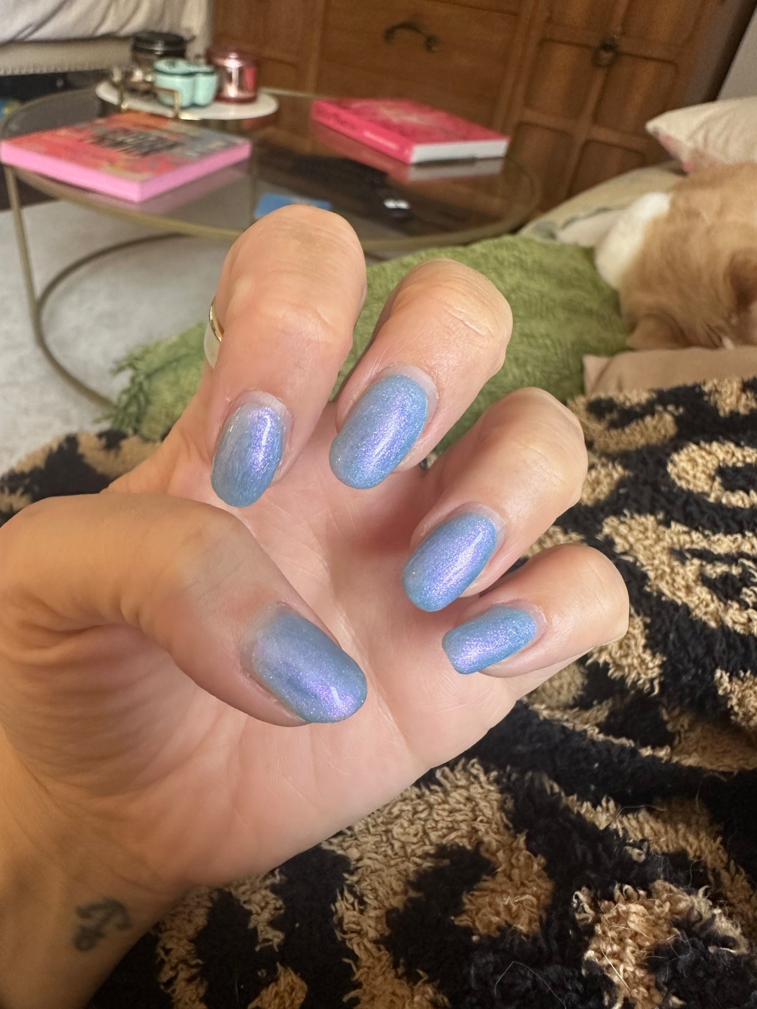 My nails are so grown out but I’m obsessed with this color!!! It comes in a very affordable set and it’s builder gel so your nails stay super protected and strong. . 

#LTKSaleAlert #LTKBeauty #LTKStyleTip