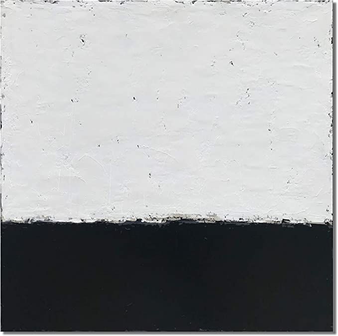 Epicler art 36x36 inch contemporary abstract art canvas oil painting, simple black and white abst... | Amazon (US)