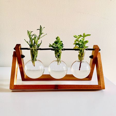 This Propagation Station is a functional way to add greenery to small spaces. Perfect for plant loving Moms! 

#LTKhome #LTKGiftGuide #LTKSeasonal