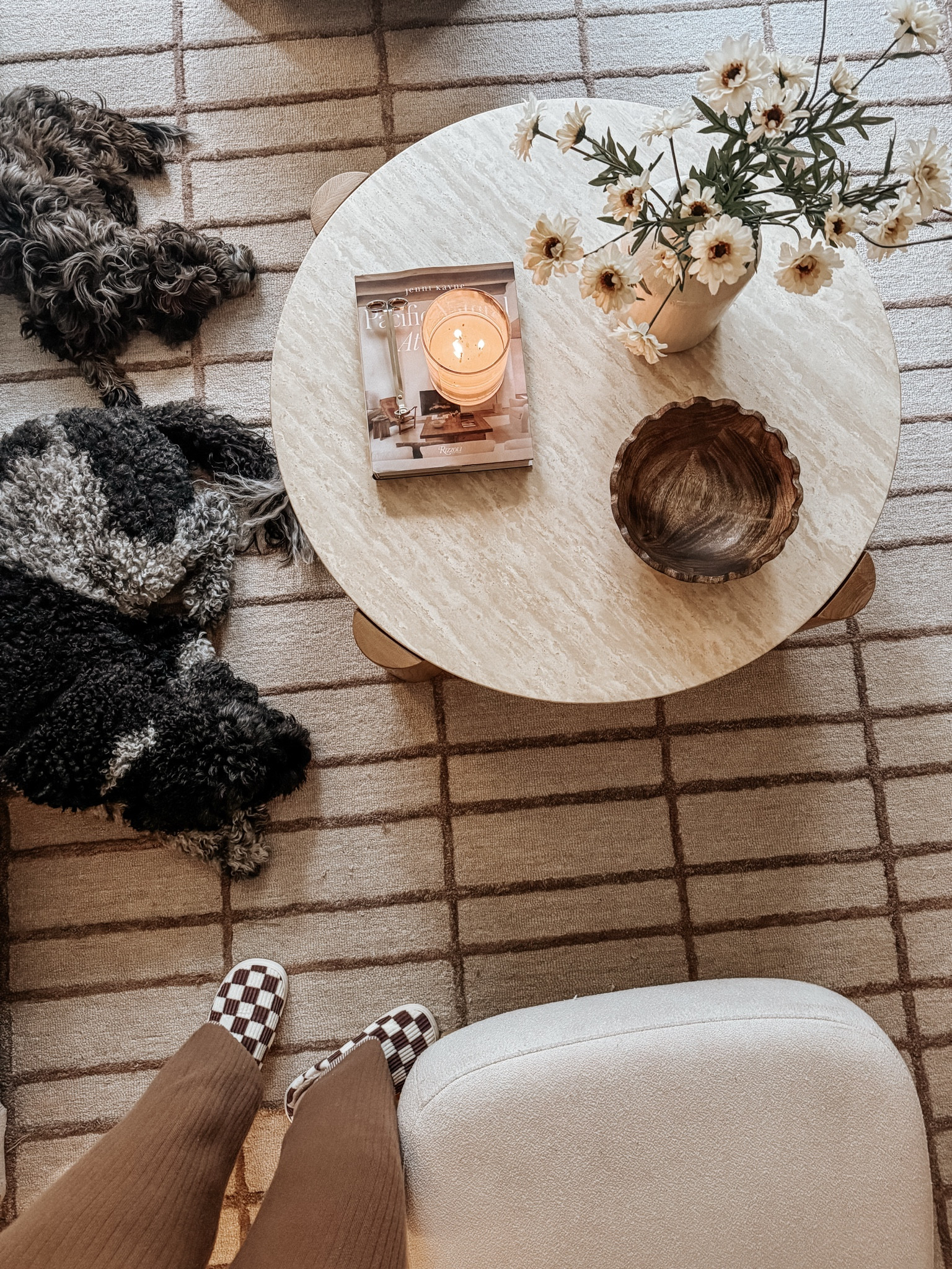 dogs are tired from me cleaning the apt this morning 😆 love this view of my rug and coffee table! These spring stems from target are so good! 

#LTKStyleTip #LTKSeasonal #LTKHome