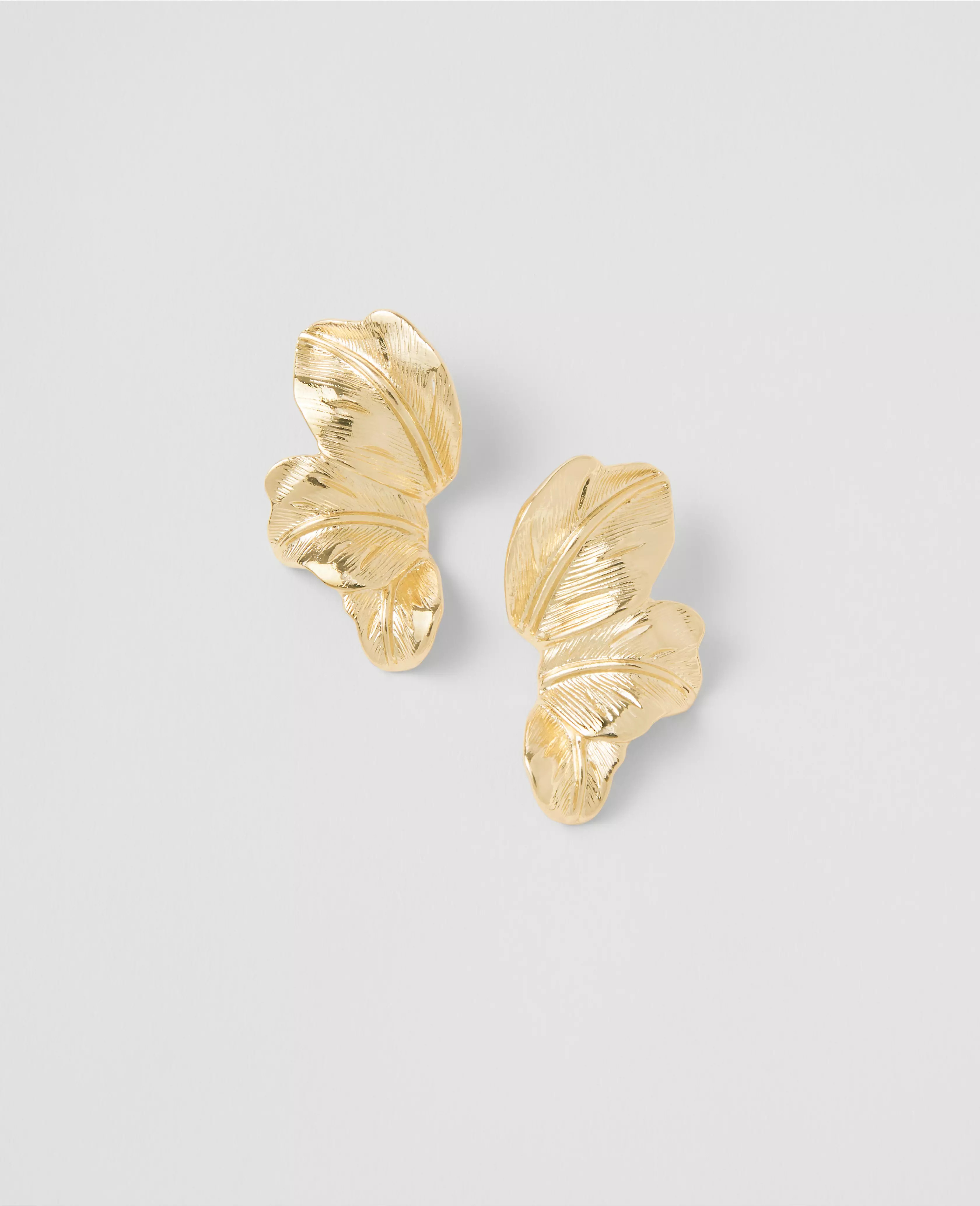 Fan Earrings | Ann Taylor