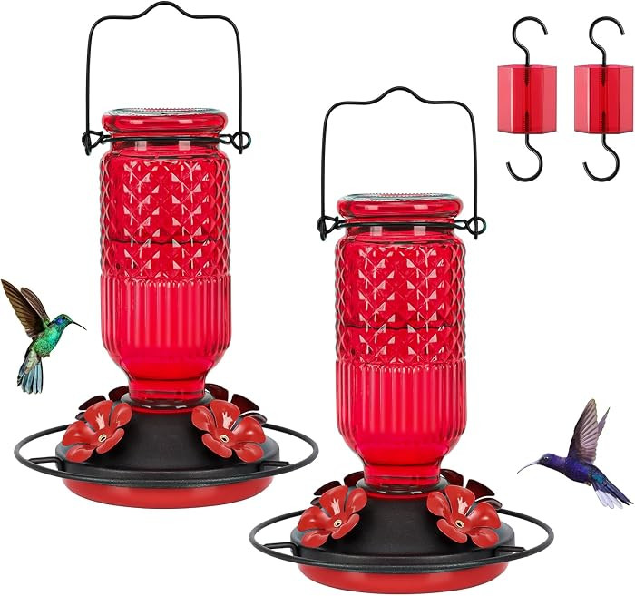 Glass Hummingbird Feeder for Outdoors Hanging, 16 oz Leak-Proof Nectar Feeder with Bee Guards & Ant Moat, 4 Metal Flower Feeding Ports, 360° Perch Ring, Easy Refill & Clean, Red | Amazon (US)