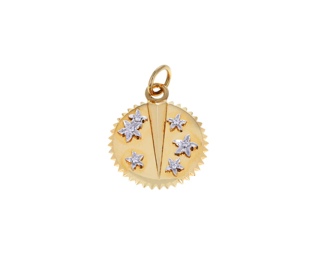 Foundrae Jewelry Baby Resilience 18K Yellow Gold Medallion Pendant | TWIST