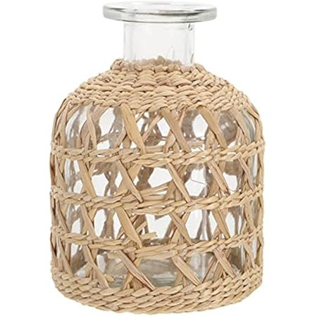 PRETYZOOM Rustic Glass Bottle Vase Farmhouse Decorative Glass Vase Rattan Wire Wrapped Flower Vase C | Amazon (US)