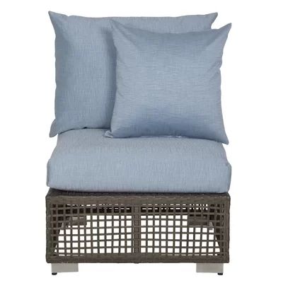 Mcmanis Patio Chair with Cushions Ivy Bronx Cushion Color: Sky Blue Sunbelievable Fabric | Wayfair North America