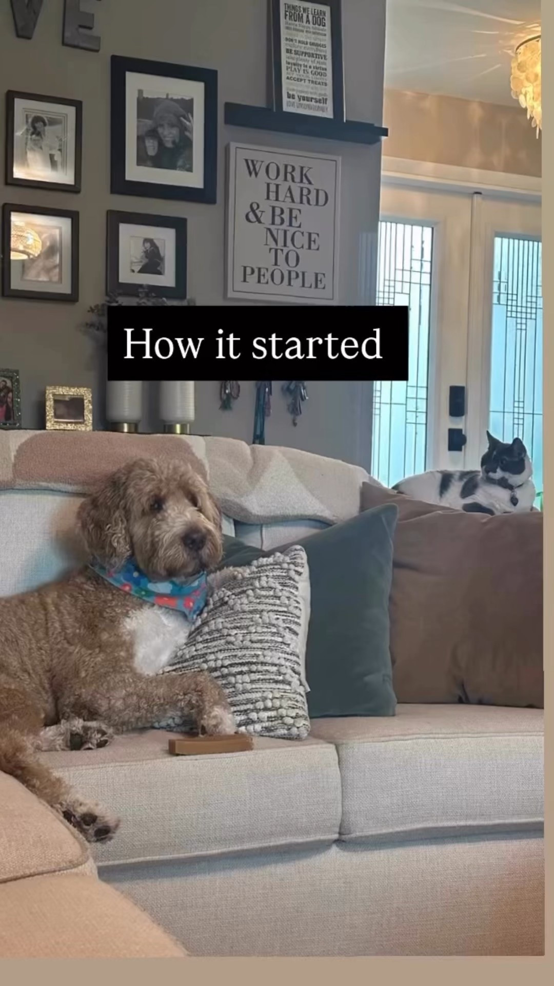 It’s been a day over here. How’s yours going? 

#LTKPets #LTKHome