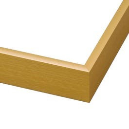 Frosted Gold Metal Picture Frame | Picture Frames