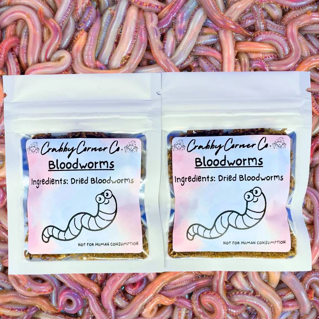 Bloodworms for Hermit Crabs, Fish, Reptiles and Isopod Food, Enrichment for Hermit Crabs, Dried W... | Etsy (US)