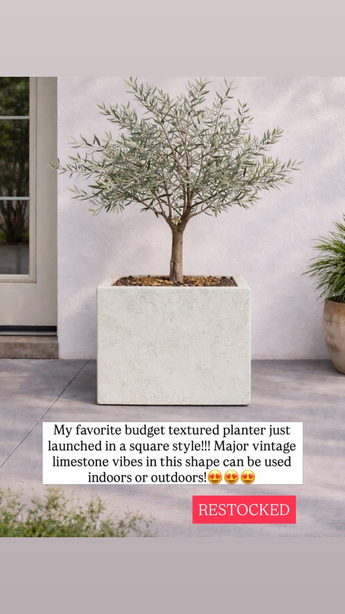 My favorite textured planter just restocked! Best price ever for this quality & style!!!