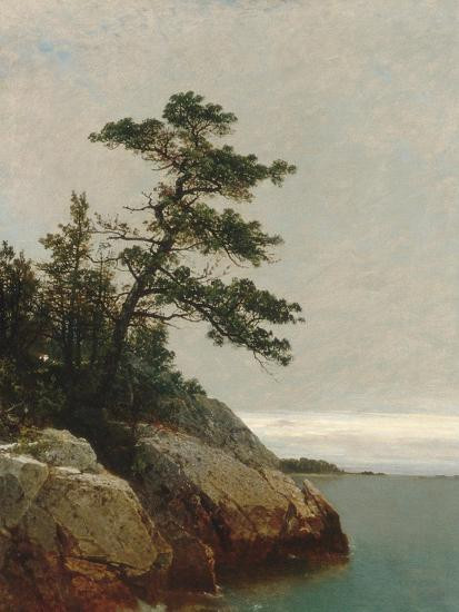 The Old Pine, Darien, Connecticut, 1872 | Art.com