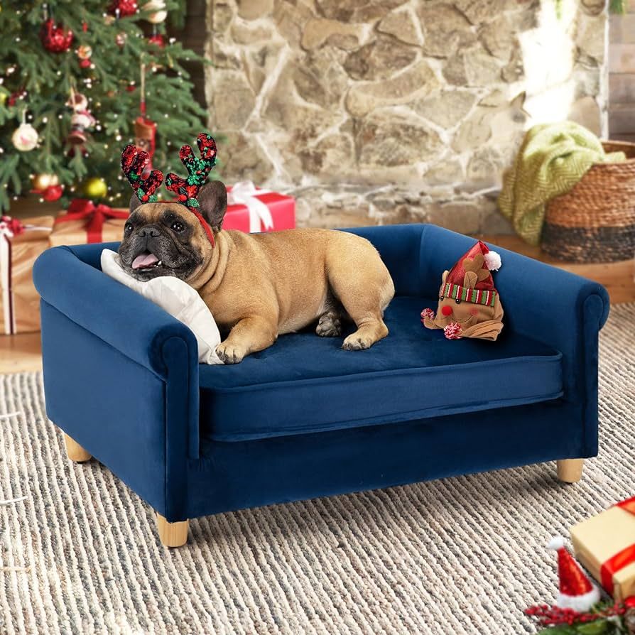 dCee Medium Dog Sofa, Holds Up to 70 Lbs, 33 in. Soft Velvety Dog Couches, Pet Sofa for Comfort S... | Amazon (US)