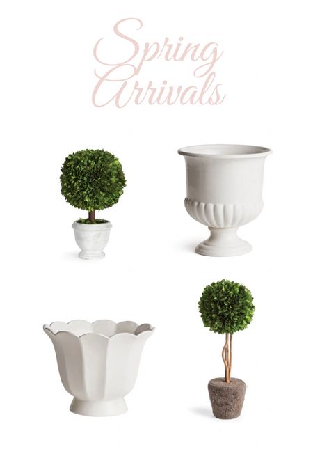 Topiaries 
Home decor, interior accents 
Cachepot, cache pot, pedestal bowl, fluted pot, footed bowl
Boxwood topiary
Lollipop topiary, drop-in

#LTKSeasonal #LTKFind #LTKhome