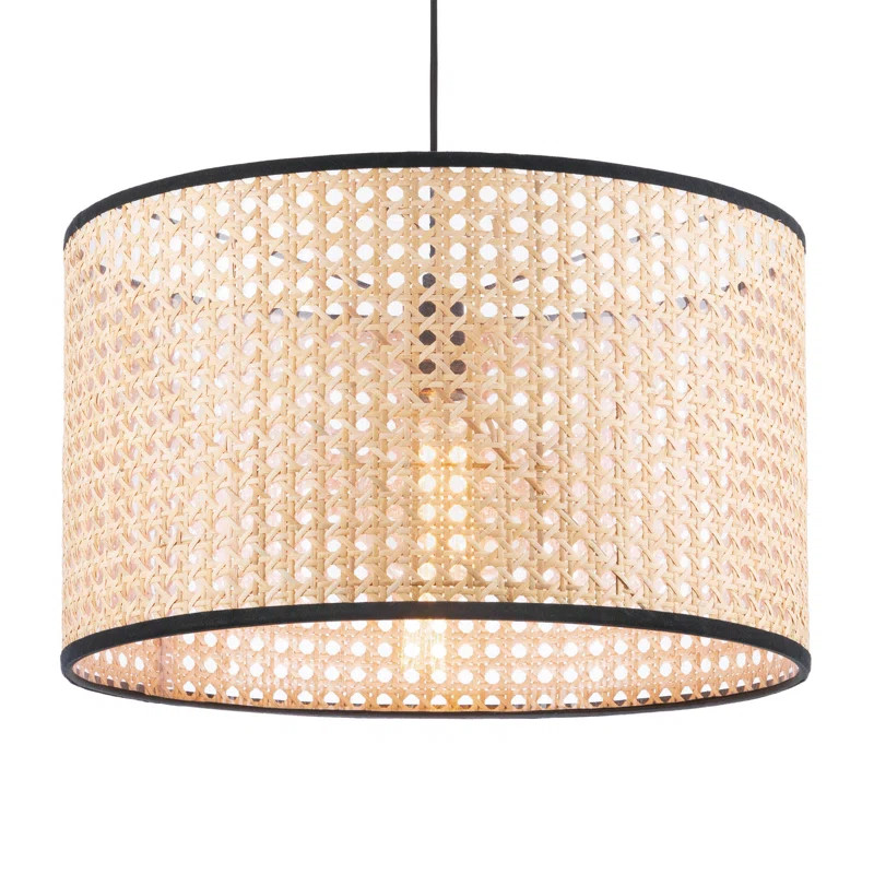 Eduardo 1 - Light Single Drum Pendant | Wayfair North America