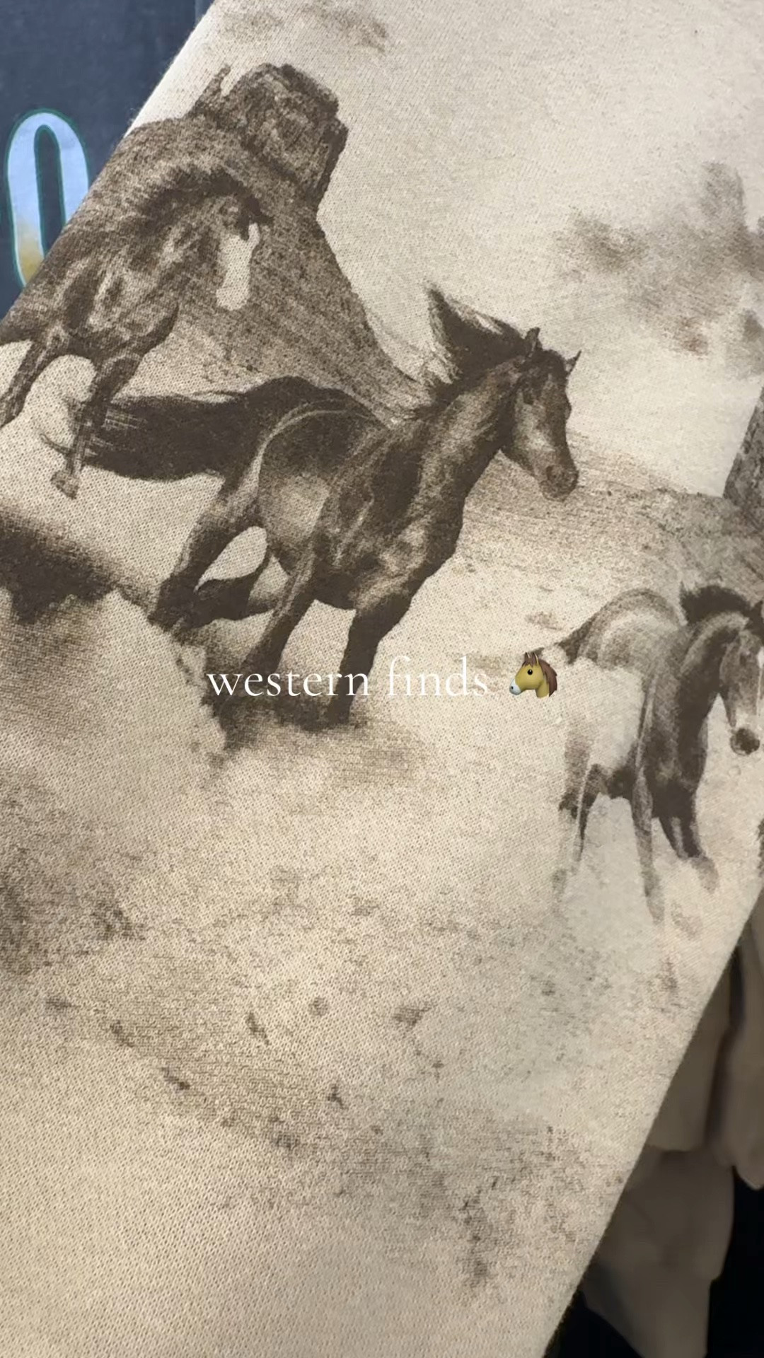 Western sweater 🐴

#LTKgrwm #LTKootd