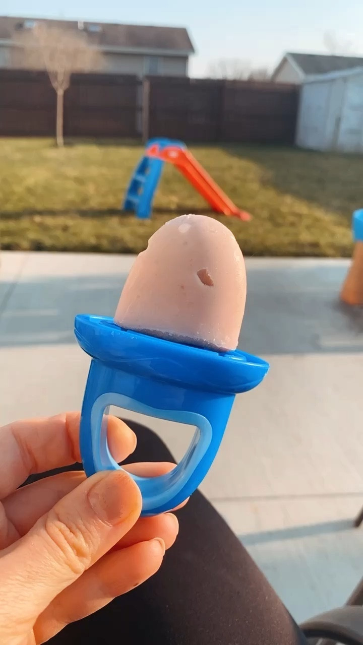 Toddler must haves. DIY Popsicles  

#LTKfamily