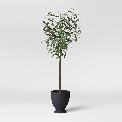 Faux Olive Tree in Pot Black/Green - Threshold&#8482; | Target