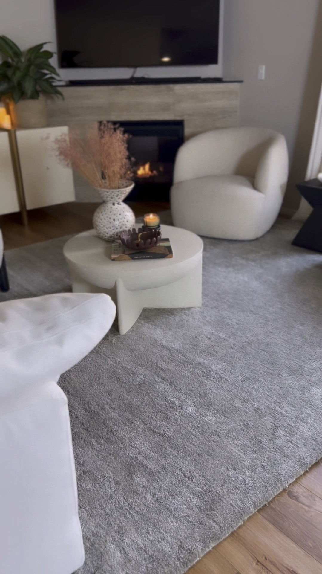 Living room, coffee table, swivel chairs 