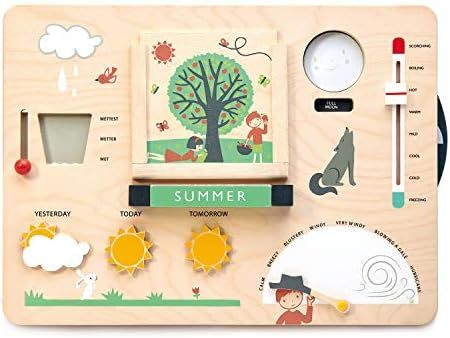 Amazon.com: Tender Leaf Toys - Weather Watch - Educational Wooden Weatherboard for Kids - Perfect... | Amazon (US)