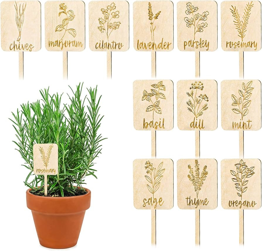 Whaline 24Pcs Wooden Plant Labels Sign Planted Herb Markers Garden Labels with Printed Herb Name ... | Amazon (US)