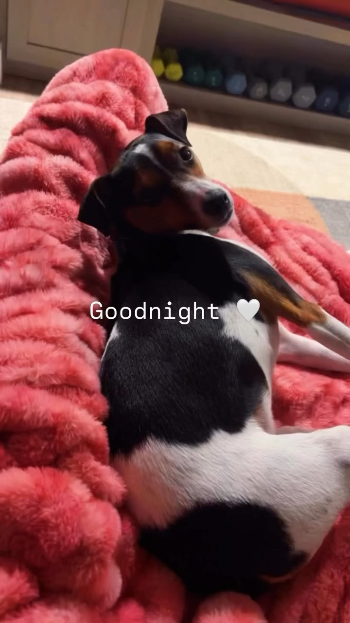 Goodnight 🤍

Minky Blanket Link:  

https://www.softminkyblankets.com/products/hugs-raspberry-swirl-blanket?variant=43695377612886

#LTKdayinmylife #LTKHome #LTKmomlife