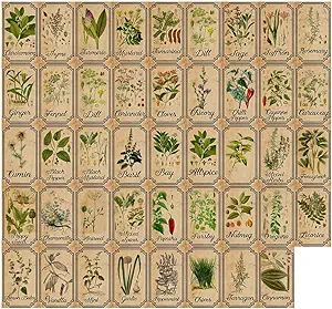 Herb and Spice Apothecary Labels Vintage Labels Stickers for Jars Bottles Tags | Amazon (US)