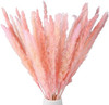 Click for more info about Omldggr 20 Pieces Natural Dried Pampas Grass Natural Dried Flowers Dried Reed Grass for Home Gard...