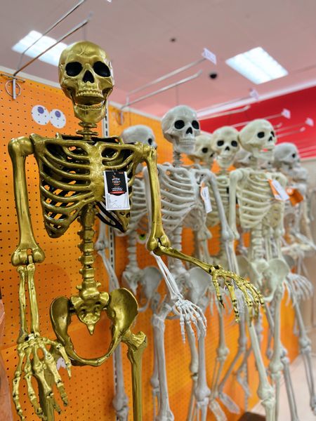 Target Halloween skeletons

#LTKunder50 #LTKhome #LTKHalloween