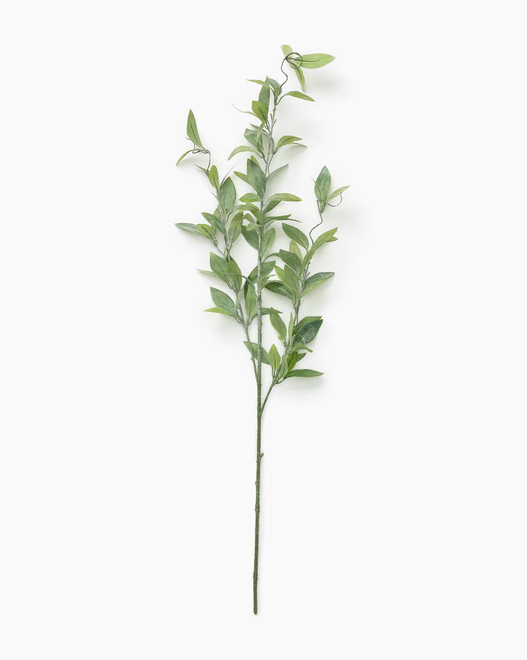 Faux Dusty Laurel Stem | McGee & Co.