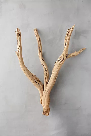 Ghostwood Log | Anthropologie (US)