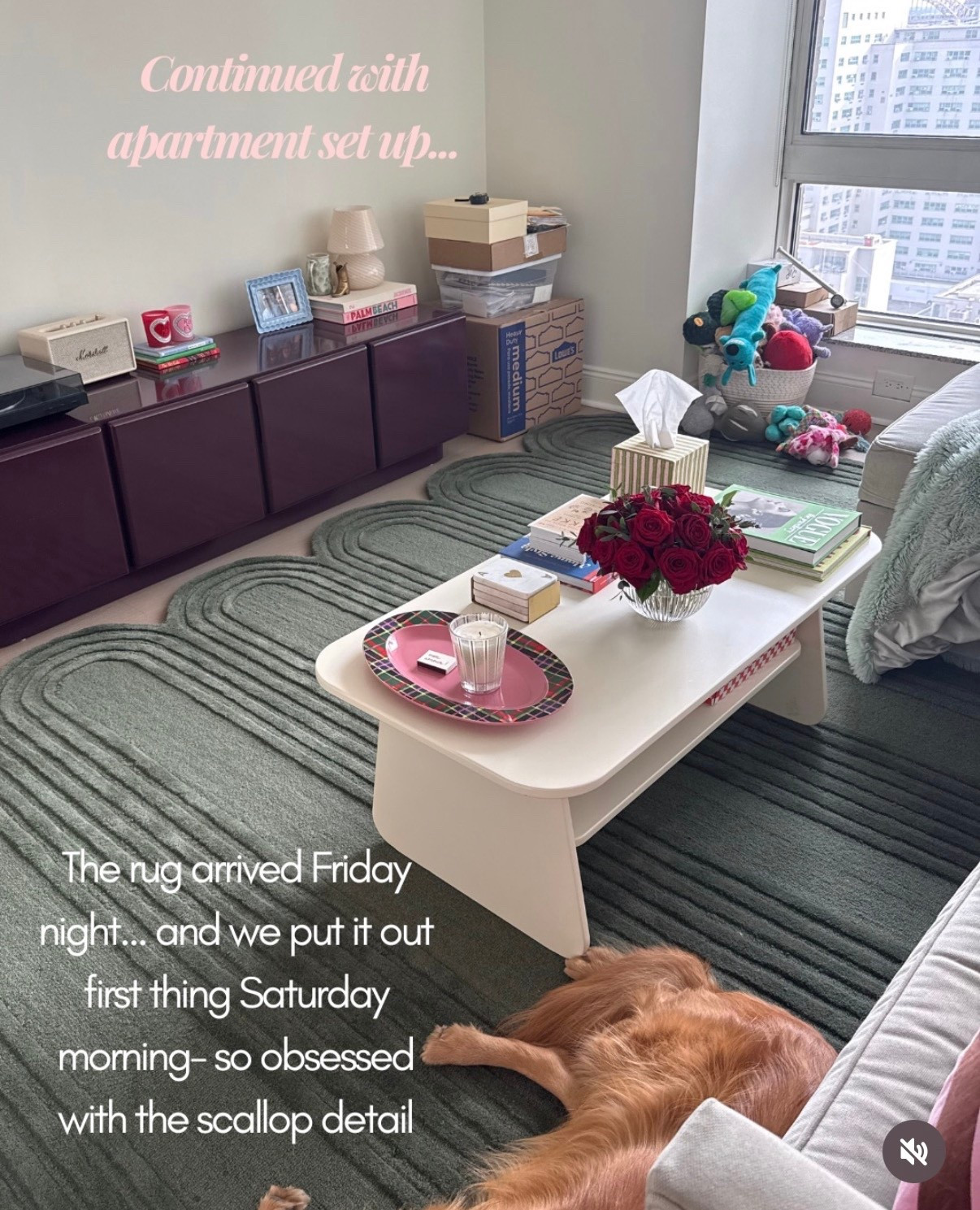 Spent the snowy weekend getting the apartment together! #colorfulhome 

#LTKHome