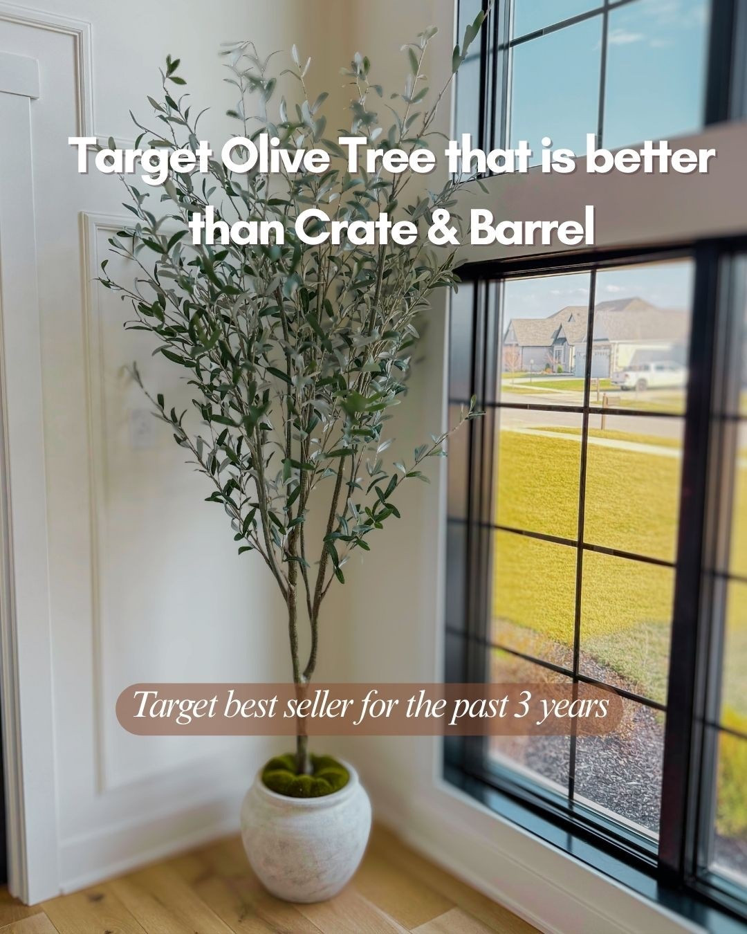 This olive tree from target has been a best seller for three years! I bought the Crate & Barrel one first and returned it because this one is so much better

#LTKHome