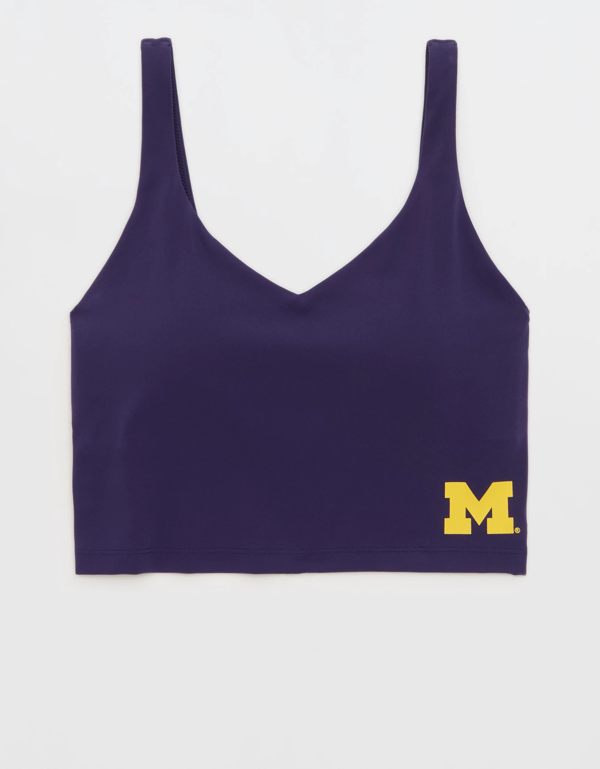 Michigan Wolverines OFFLINE By Aerie Low Key Sports Bra | Aerie