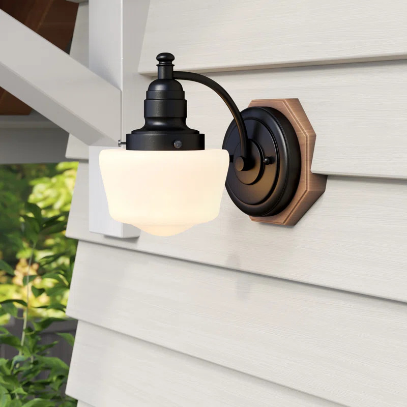 Michaels Textured Black 8.19'' H Colorful Glass Outdoor Barn Light | Wayfair North America