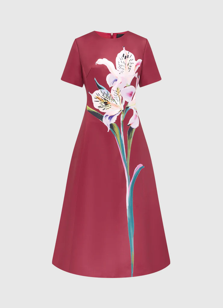 Caroline Short Sleeve Midi Dress - Lily Print in Burgundy | LEO LIN